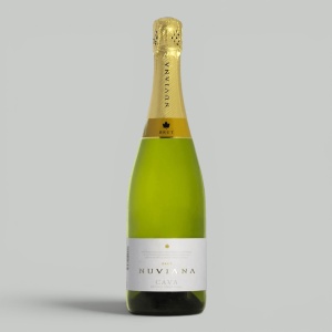 Вино игристое Cava Nuviana белое брют 11,5%, 0,75л
