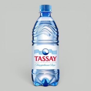 Вода TASSAY б/газа 0,5л ПЭТ